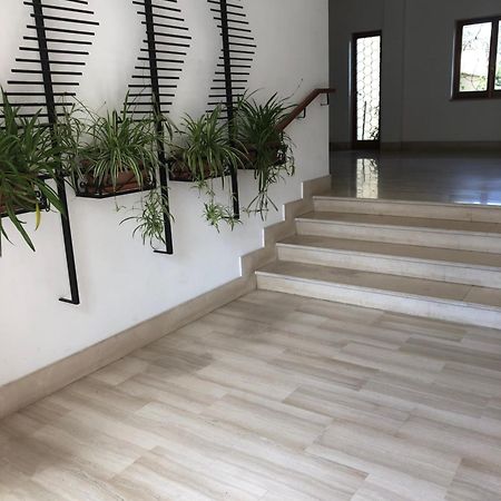 Appartamento Le Zagare Σορέντο Εξωτερικό φωτογραφία